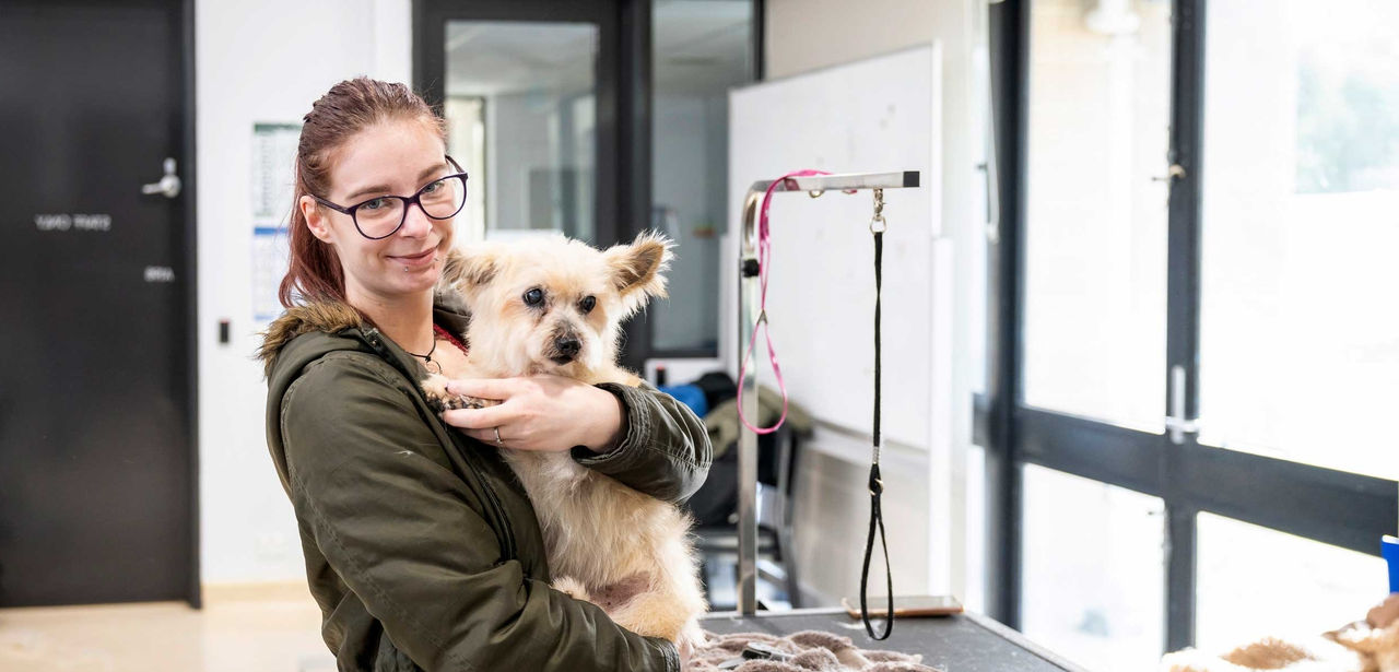 Female student holding dog to groom