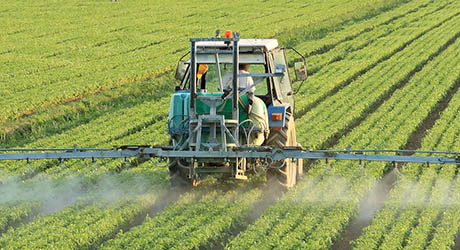 Six Ways Technology is Transforming Agriculture and Horticulture